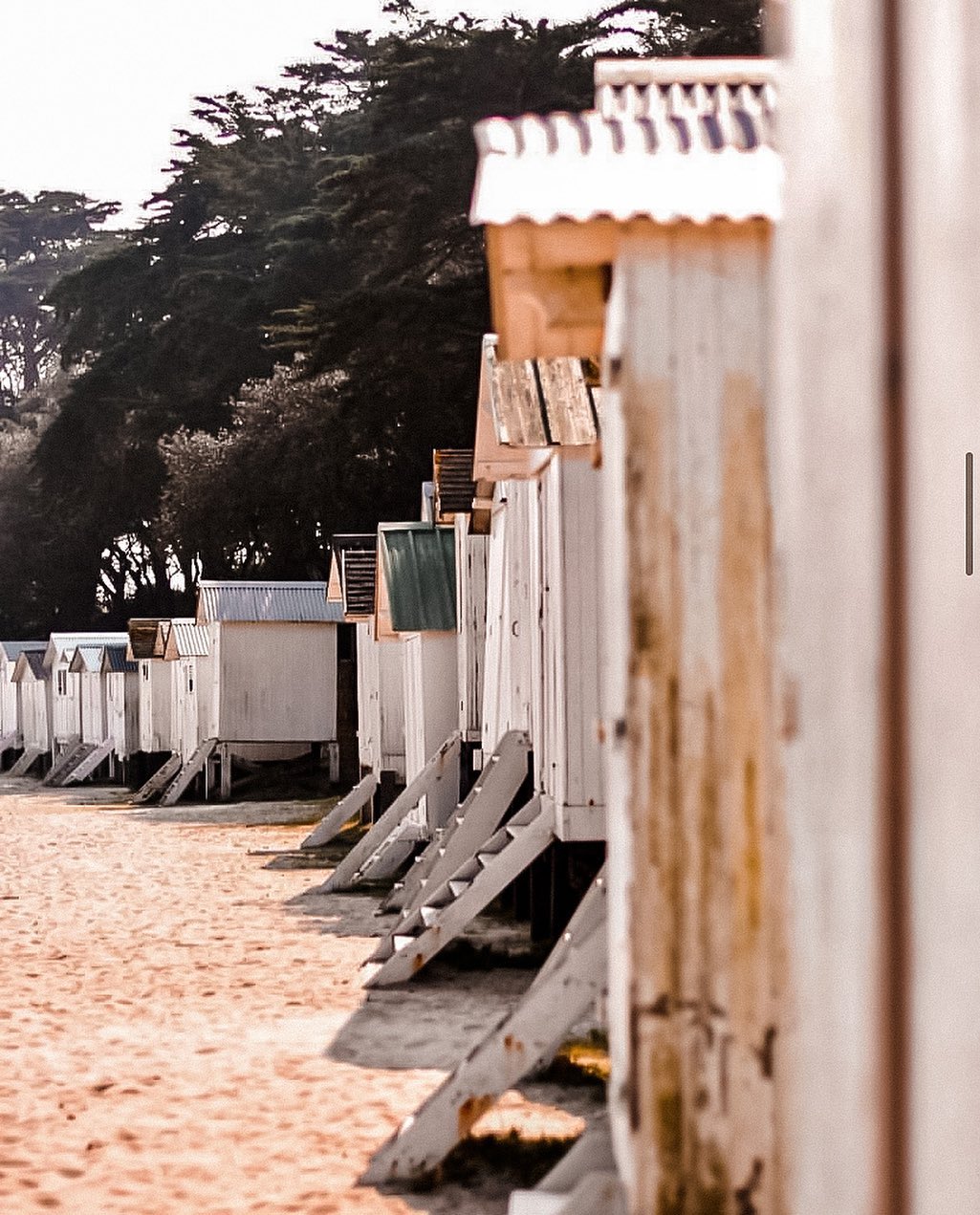 Noirmoutier Villa Arthus Bertrand 12