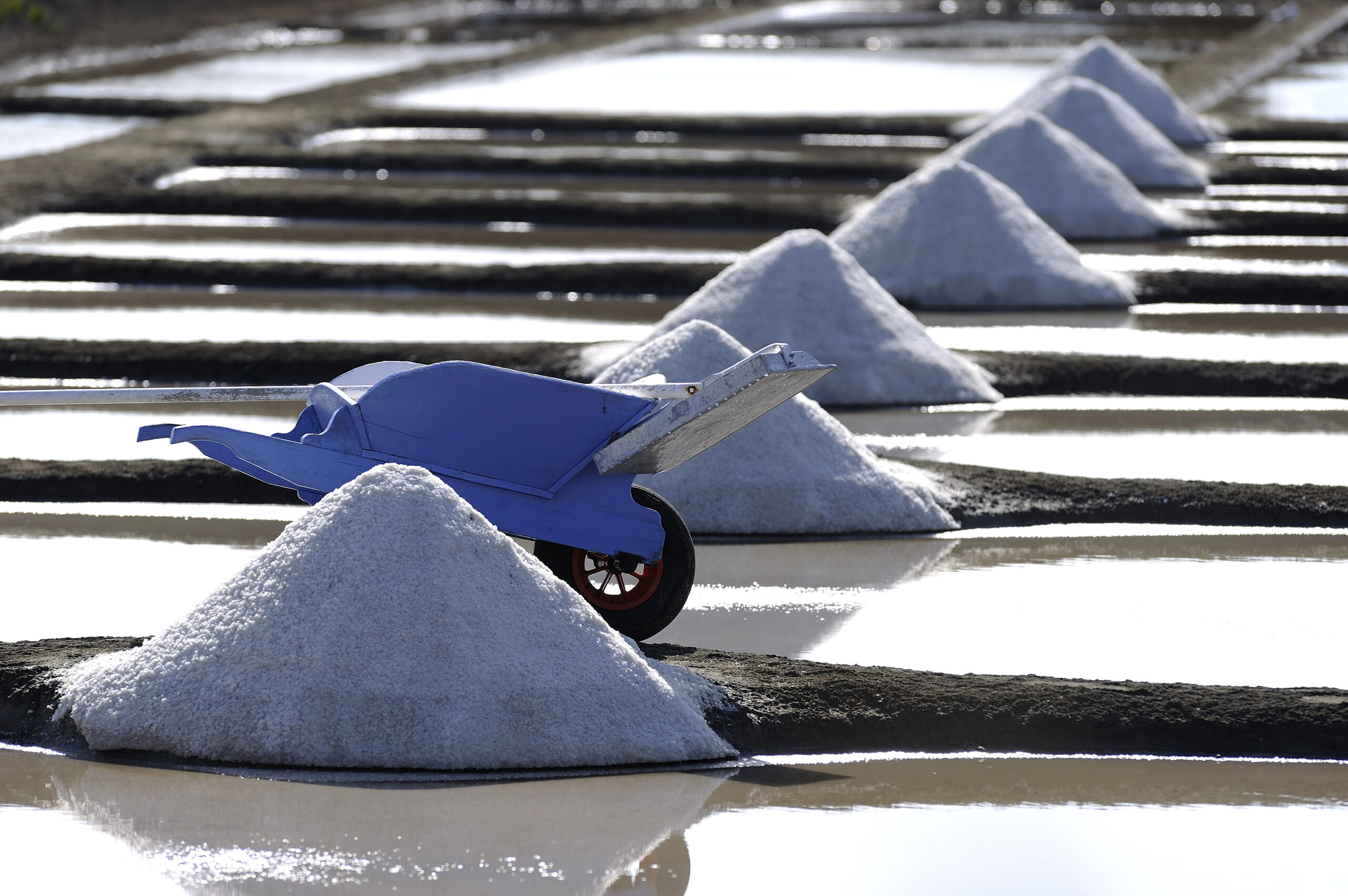 marais salants noirmoutier scaled